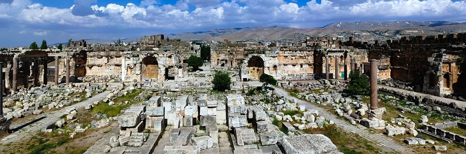 Charbel Saliba