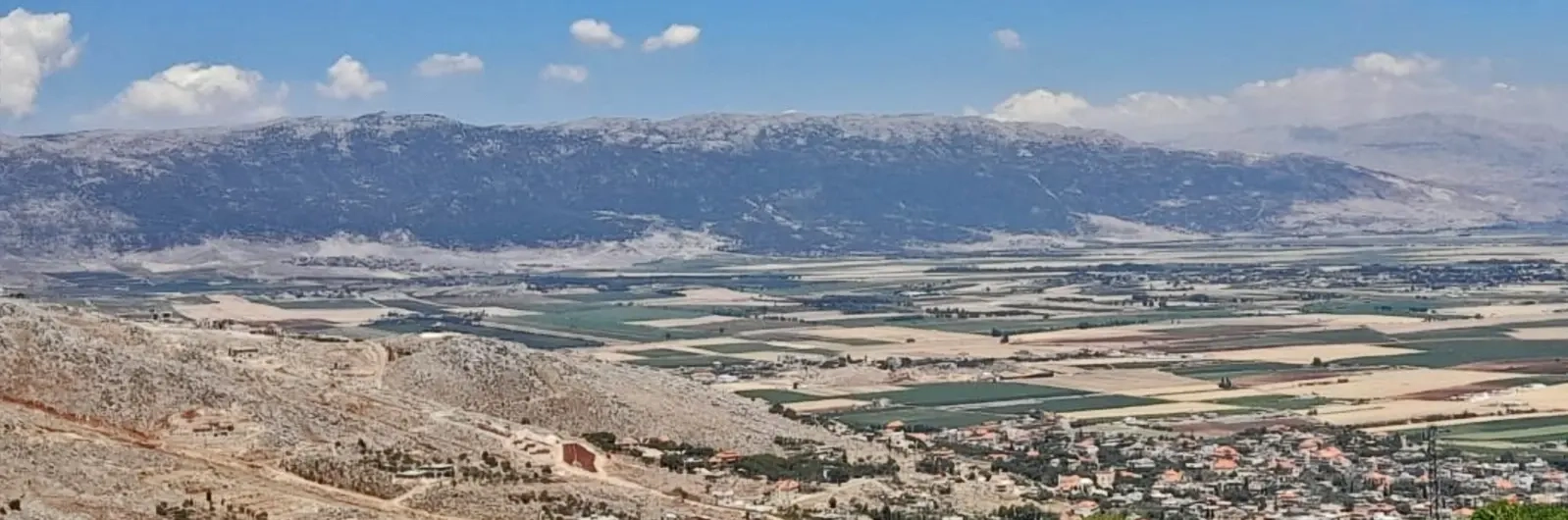 Petra Chedid