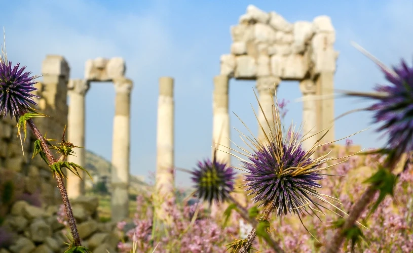 Nature, culture and crafts in Kfardebian