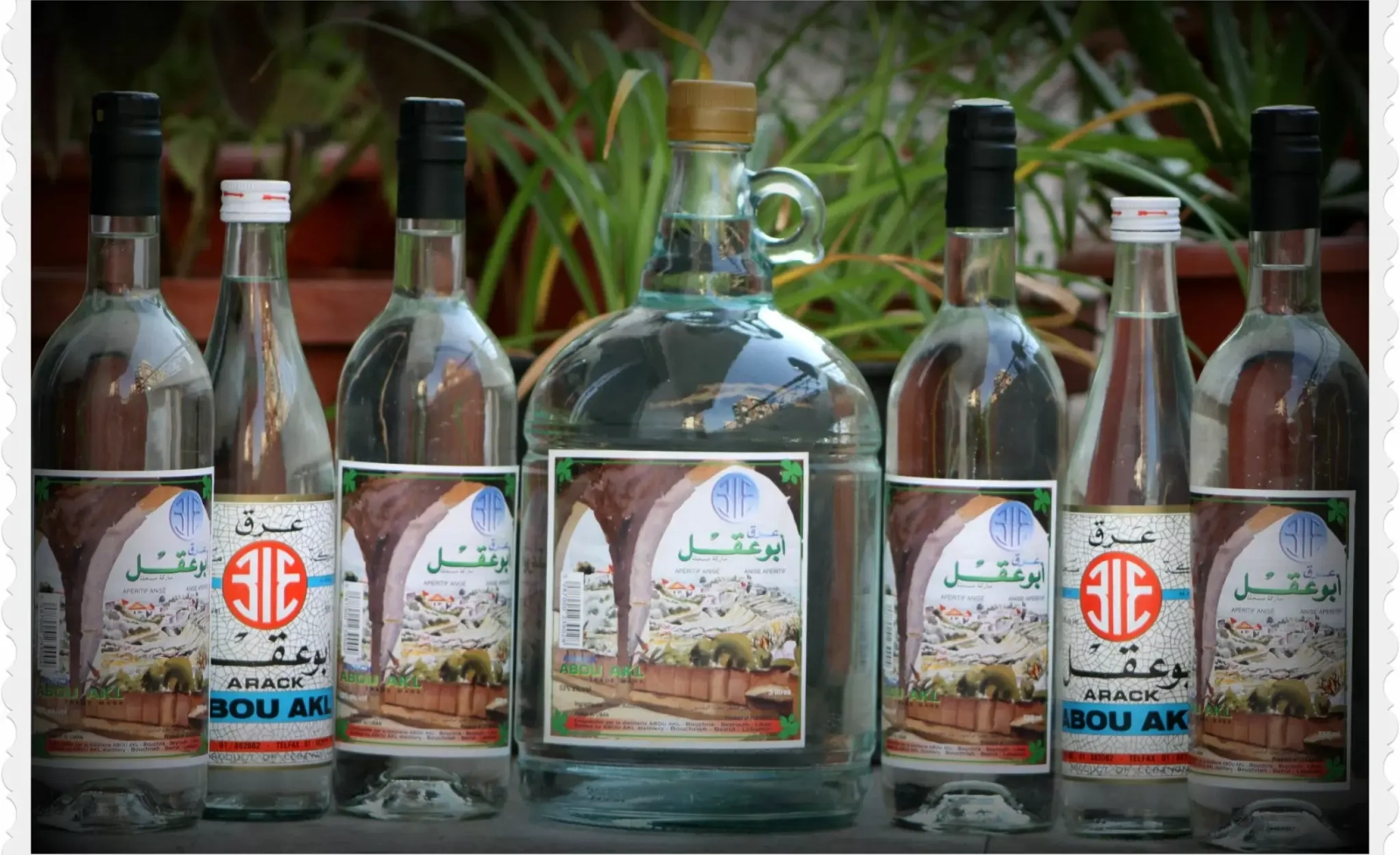 Abou Akl Distillery