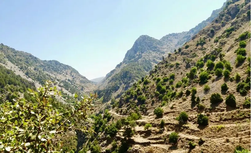 Wadi Jhanam / Death Valley