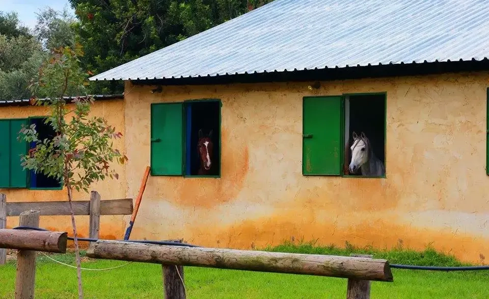 Mar Antonios Equestrian Club