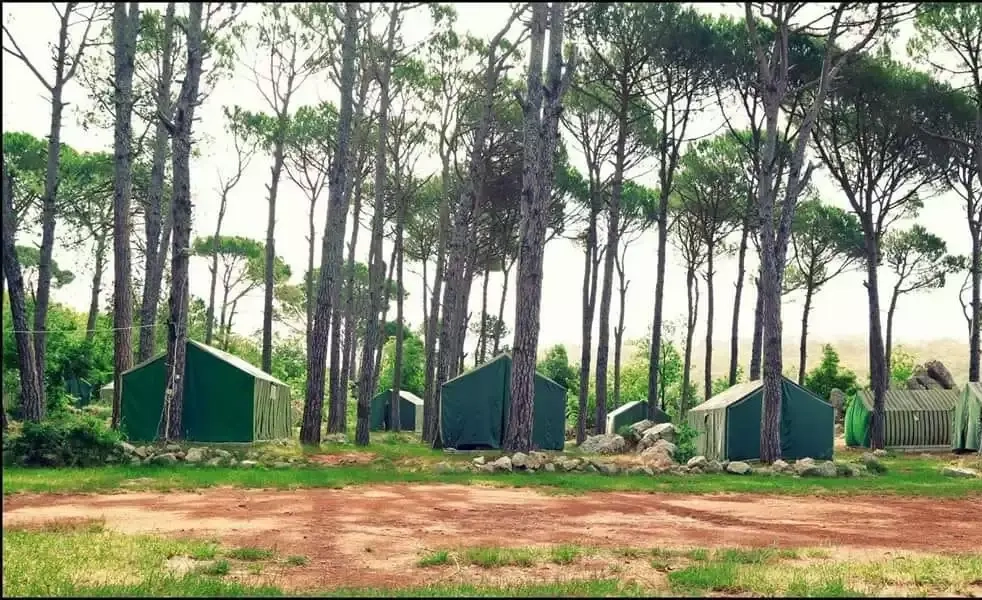 Sharewood Camp