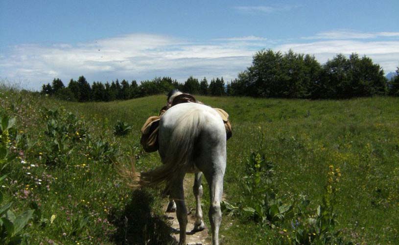 Une balade à poney avec les enfants dans le Vercors