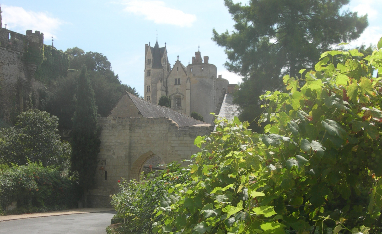 Visite guidée de Montreuil-Bellay
