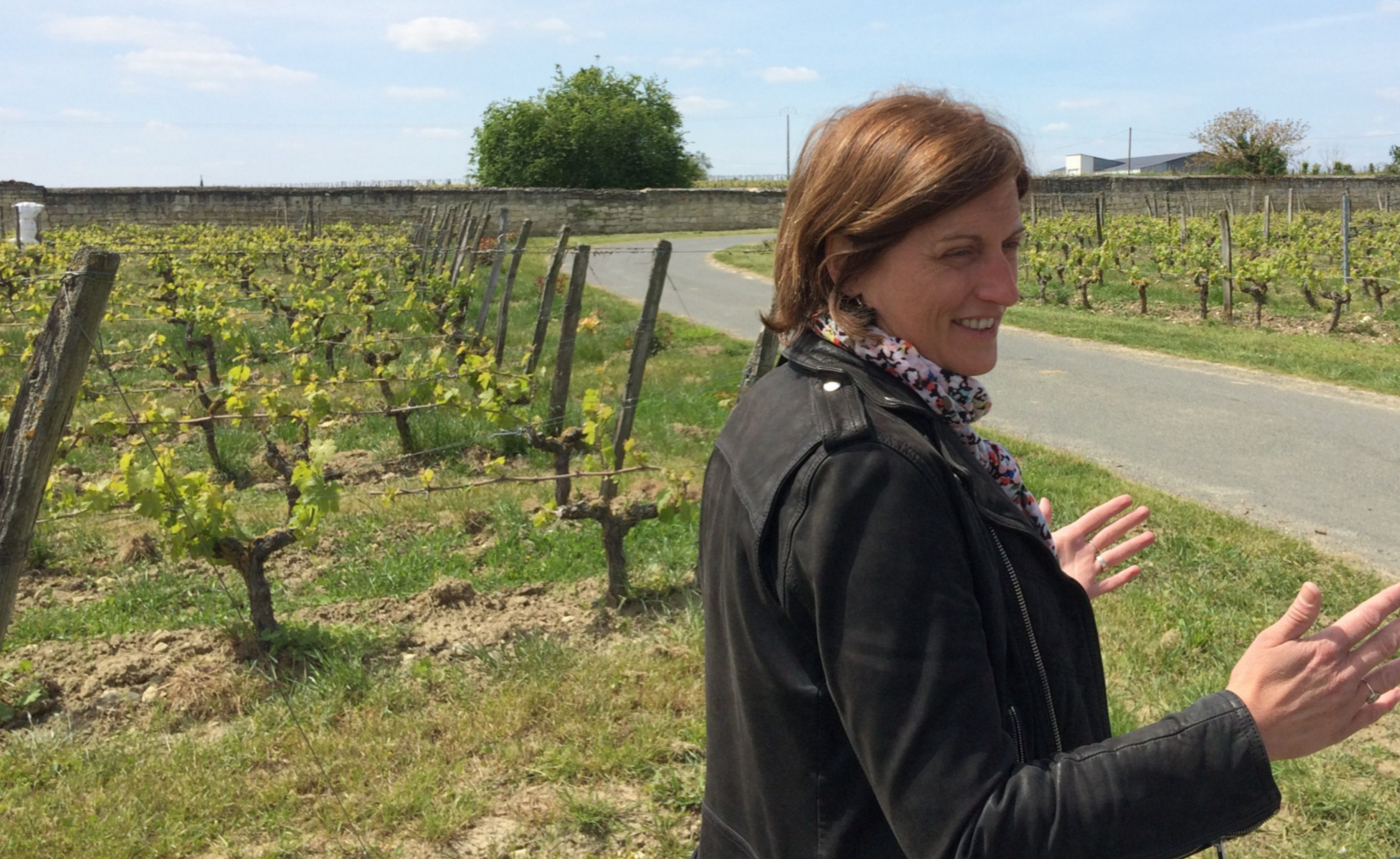 Visite Le Tour de la Louve